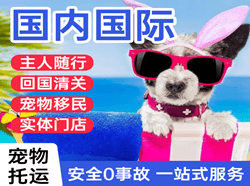 普洱思茅航空货运国际宠物托运 【国